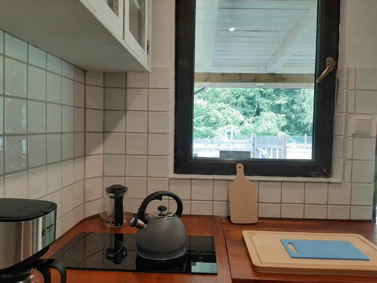W Lipowej Dolinie Apartment Huta Gorna